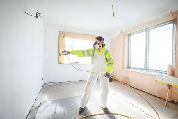 Best Post-Construction Mold Inspection  in Carefree, AZ