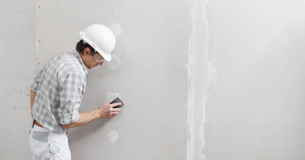 Mold Remediation for Rental Properties in Carefree, AZ
