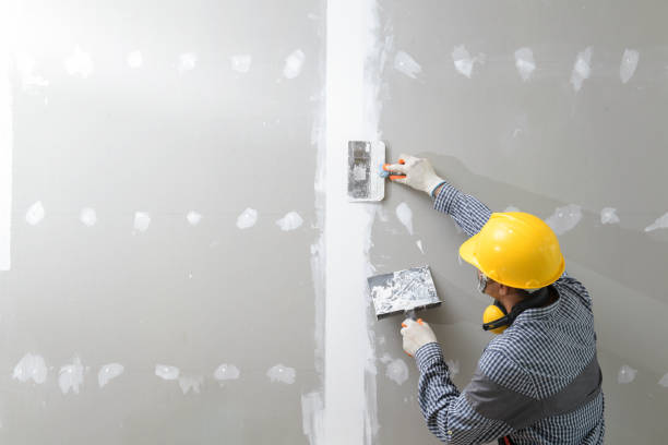 Best Real Estate Mold Inspection  in Carefree, AZ