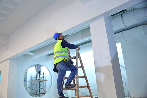 Best Emergency Mold Remediation  in Carefree, AZ